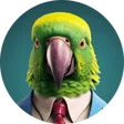 pietje_antwerpen